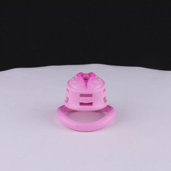 Sissy Feminization Chastity Cage