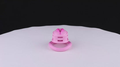 Sissy Feminization Chastity Cage