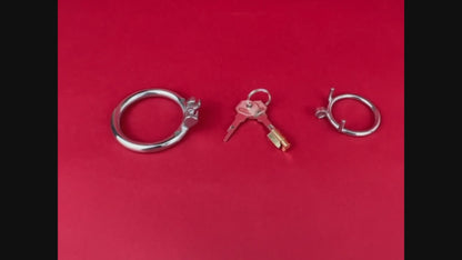 Dual Cock Ring Chastity Cage, F3121