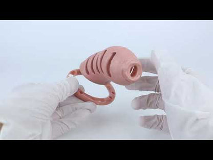 ABS Resin Realistic Dick Chastity Cage – Fully Enclosed Type AS037