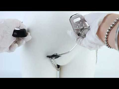 Silver Scale Lockable Harness Bondage Chastity Pants | F363A